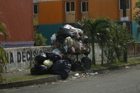 Algunas colonias y fraccionamientos de Boca del Río, como La Tampiquera y Estatuto Jurídico, se encuentran llenas de basura. Los camiones recolectores no han levantado los desechos y esto atrae a perros hambrientos y fauna nociva.