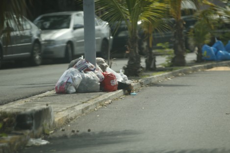Algunas colonias y fraccionamientos de Boca del Río como La Tampiquera y Estatuto Jurídico, se encuentran llenas de basura. Los camiones recolectores no han levantado los desechos y esto atrae a perros hambrientos y fauna nociva.