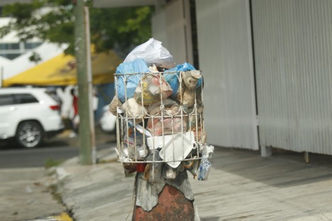 Algunas colonias y fraccionamientos de Boca del Río como La Tampiquera y Estatuto Jurídico, se encuentran llenas de basura. Los camiones recolectores no han levantado los desechos y esto atrae a perros hambrientos y fauna nociva.