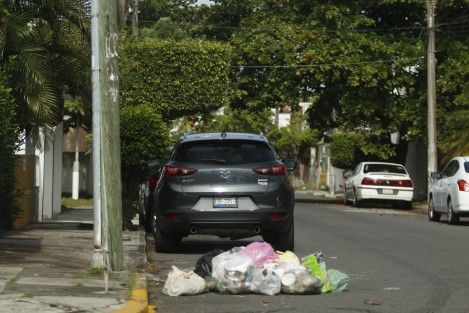 Algunas colonias y fraccionamientos de Boca del Río como La Tampiquera y Estatuto Jurídico, se encuentran llenas de basura. Los camiones recolectores no han levantado los desechos y esto atrae a perros hambrientos y fauna nociva.