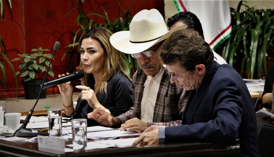La diputada Josefina Gamboa reclamó al grupo de Morena que es vigilada y  grabada por ese grupo legislativo. 
