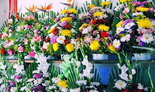 Florerías esperan elevar sus ventas de manera considerable gracias a los festejos a la Virgen de Guadalupe.
