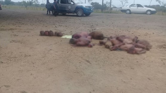 Este sábado fueron hallados los cuerpos desmembrados de cinco personas en la localidad de Sabaneta, a un costado de la carretera que va a Loma Bonita en los límites de Oaxaca y Veracruz.
