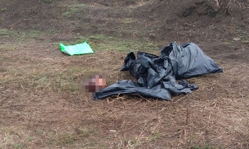  La cabeza de un hombre, fue hallada esta mañana de sábado por trabajadores del campo que realizaban el corte en una parcela adyacente, a un costado de la Escuela Secundaria Técnica 104, de La Providencia, municipio de Cuichapa. 