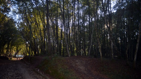 Como de costumbre, los alrededores del Santuario de Las Garzas amanecieron sin vigilancia de la Policía, a pesar de ser lugar de un reciente crimen, no hay señales de aseguramiento del lugar para proteger la escena donde fue encontrado el cuerpo de la joven Ruth Magaly. 
