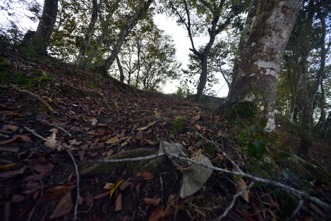 A pesar de la hermosura del lugar, el sitio ha sido abandonado y ahora es por donde pasan dos arroyos de agua sucia y tiradero de animales muertos y basura. 