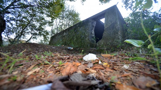 Pese a los recurrentes homicidios que se han suscitado en el Santuario de las Garzas, el lugar permanece sin vigilancia. 