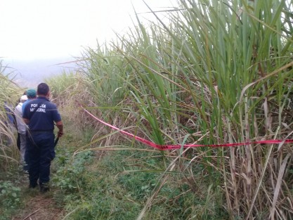 La mañana de este jueves fue hallado el cuerpo de una persona que había sido plagiada la mañana del miércoles en calles de Potrero Nuevo, localidad perteneciente al municipio de Atoyac. El cuerpo presentaba golpes, así como cinta en la boca y amarrado con las manos atrás.


