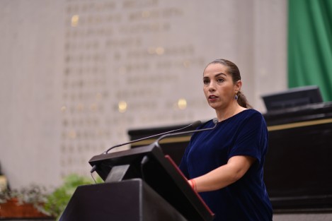 La diputada Cinthya Lobato Calderón presentó este jueves una iniciativa con proyecto de Decreto por el que se reforman diversas disposiciones de la Ley de Salud del estado de Veracruz de Ignacio de la Llave.