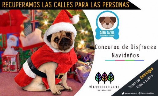 En la última jornada de este año, de la Vía Recreativa XL, se llevará a cabo el concurso de disfraces navideños para mascotas, a las 11:00 horas. Los participantes tendrán que estar 30 minutos antes del evento e inscribir a su mascota en el stand del Albergue Ada Azul, donando mínimo dos kilos de alimento.
