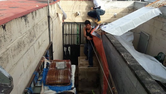 Un grupo de perros fueron rescatados de un domicilio en el fraccionamiento Geo Villas del Puerto de Veracruz, luego de asesinar y comer parte de otro canino con el que compartieron un encierro de 8 meses sin comida. La fiscalía especializada para la protección del medio ambiente y los animales no acudió al llamado de auxilio.  