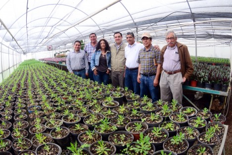 En los cuatro años de la administración del alcalde Américo Zúñiga Martínez, el Ayuntamiento de Xalapa ha mostrado su compromiso con la protección del medio ambiente, para dejar una mejor ciudad a las futuras generaciones.