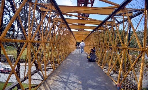 Una familia completa pide limosna en un puente peatonal de la ciudad de Xalapa. Mientras el padre toca, el hijo mayor recoge las monedas y la madre alimenta al más pequeño.