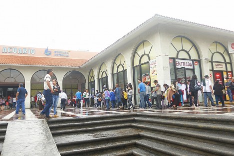Cientos de turistas visitan el Acuario de Veracruz. Desde temprano se observan largas filas para poder ingresar al recinto marino que es considerado el más grande de Latinoamérica..