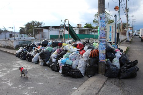 Desde hace varios días se aprecian montones de basura en diversas partes de Coatepec, que no ha sido recolectada; así el primer Pueblo Mágico de Veracruz a unas horas de que acabe el 2017. 