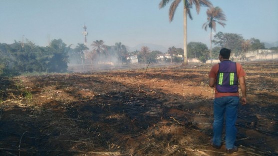 Personal de Protección Civil así como de Bomberos de Córdoba,se movilizaron para controlar el incendio de un pastizal que se localiza en las inmediaciones de la colonia Santa Isabel, en Córdoba, Ver., originado por la surada que se registra en la zona centro del estado.  
