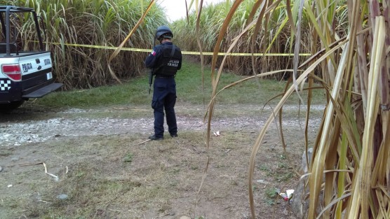 El cuerpo sin vida y en estado de putrefacción de una mujer, el cual  presentaba huellas de tortura, fue hallado este martes entre unos cañales de la comunidad de La Concha, municipio de Yanga, Ver..
