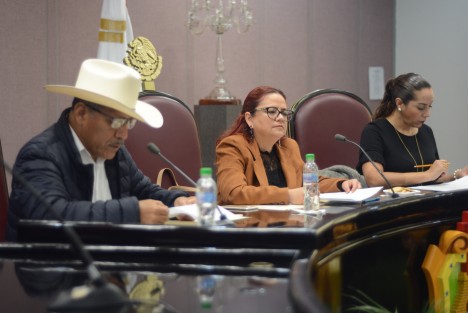 La diputada del Grupo Legislativo de MORENA en el Congreso del Estado de Veracruz, Daniela Griego Ceballos, encabezó las entrevistas a los aspirantes al cargo de titular del Órgano Interno de Control del Instituto Veracruzano de Acceso a la Información y Protección de Datos Personales (IVAI).  