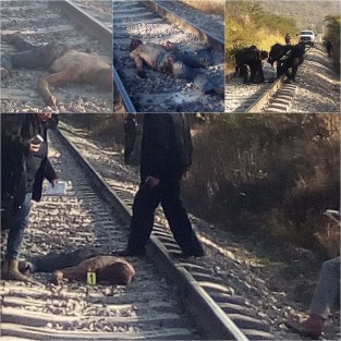 En Nogales fue hallado el cuerpo de un hombre al parecer de origen hondureño, quien murió tras ser mutilado por el tren; se especula se quedó dormido y cayó.  