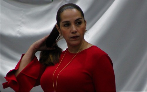 La diputada Cinthya Lobato presentó una iniciativa para que Grupos Legislativos designen como Coordinador a quien cuente con una trayectoria y comportamiento que acrediten prudencia, tolerancia y respeto en la convivencia, así como experiencia previa como legislador local o federal. 
