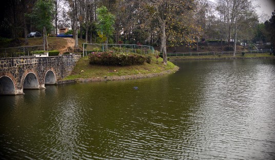 En la zona del tercer lago de esta ciudad capital todavía puedn verse garzas y otras especies de animales, las cuales eran muy comunes en este sitio, pero debido a la contaminación que persiste en el lugar se han visto disminuidas, por lo mejor es admirarlas antes de que desaparezcan.  