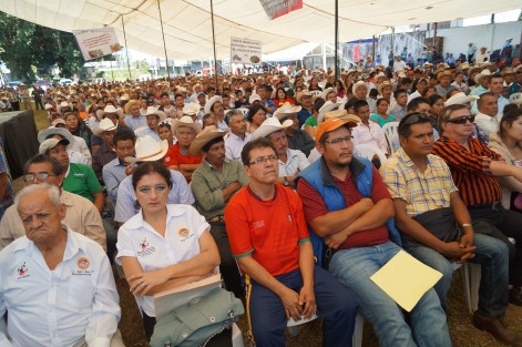 Secuestraran al PRI en Tlapacoyan, gracias a las imposiciones de la dirigencia estatal.
