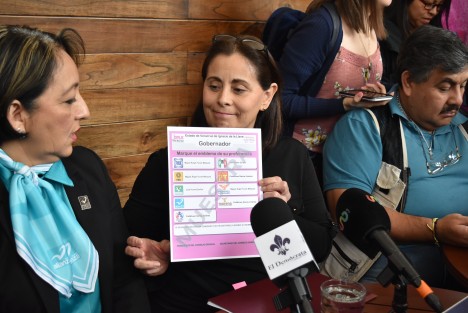 July Sheridan justificó que apenas se presenta ante los medios, debido a que optó por esperar para iniciar trabajo de precampaña hasta que concluyera el periodo de sesiones en en Congreso del Estado. 