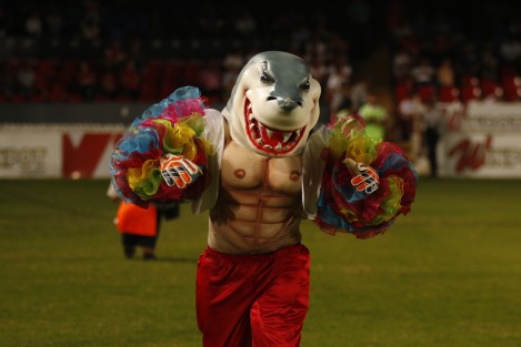 El equipo Tiburones Rojos de Veracruz perdió 1 a 0 contra los Tuzos del Pachuca en el partido correspondiente a la fecha 6 del Torneo de fútbol de la primera división. 