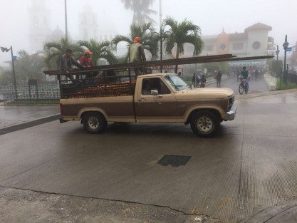 Productores prevén mejores ingresos hasta el cierre de mes.
