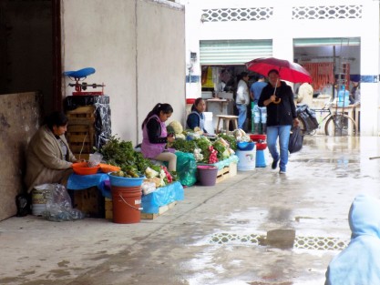 Comercio semifijo urge ser reubicado para liberar arterias vehiculares y aceras.

