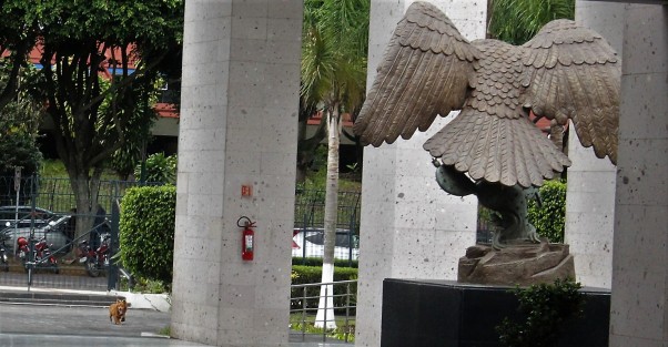 Se coló el perrito en el Palacio Legislativo.  
