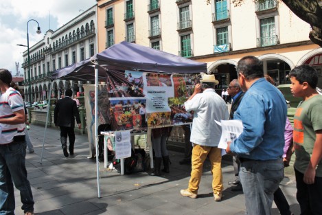 En el penúltimo día en que aspirantes a candidatos independientes a la presidencia de México pueden colectar firmas de apoyo, en el centro de Xalapa, Ver. se vio a los equipos de Marichuy y de Armando Ríos Pitter. 