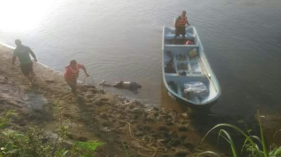 La mañana de este jueves fueron recuperados los cadáveres de dos personas que fueron arrastrados por la corriente del río Tesechoacan.