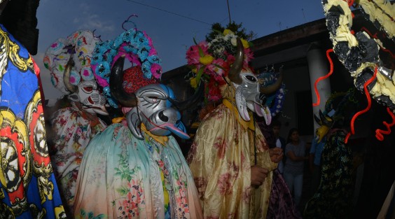 Parte del significado del Carnaval es la representación del ganado bovino, principal actividad económica en los primeros años de  comunidad de Almolonga. 