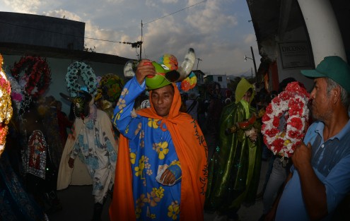 Parte del significado del Carnaval es la representación del ganado bovino, principal actividad económica en los primeros años de  comunidad de Almolonga. 