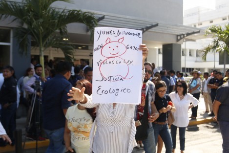 Un grupo de ciudadanos se manifestaron afuera del Hospital del Niño para exigir que aparezcan los gatos capturados la tarde de ayer por autoridades medio ambientales en el Parque Ecológico de Veracruz. 