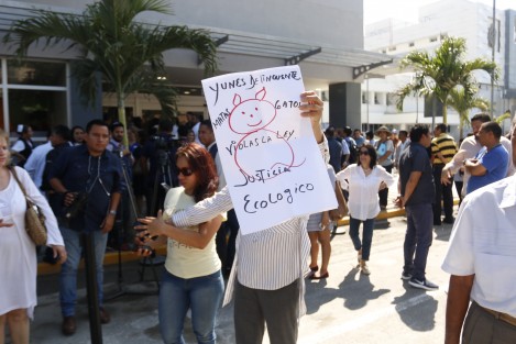 Un grupo de ciudadanos se manifestaron afuera del Hospital del Niño para exigir que aparezcan los gatos capturados la tarde de ayer por autoridades medio ambientales en el Parque Ecológico de Veracruz. 