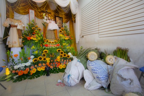Hoy iniciaron los festejos en honor a San José en el municipio de Xico, Veracruz. La danza de los Tocotines y Payasos bailaron para festejar la llegada de la flor de cucharilla con la que será elaborado el arco floral.  