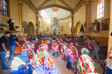 Hoy iniciaron los festejos en honor a San José en el municipio de Xico, Veracruz. La danza de los Tocotines y Payasos bailaron para festejar la llegada de la flor de cucharilla con la que será elaborado el arco floral.