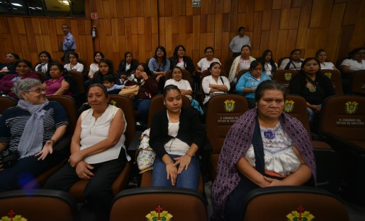 María López de la Rica, es residente del municipio de Rafael Delgado, desde agosto del 2002 y es licenciada en Educación por la Pontificia Universidad Bolivariana de Medellín, Colombia. Es, también, cofundadora del Centro Kalli Luz Marina, A. C. y ha trabajado con el Programa de Apoyo a las Instancias de Mujeres en las Entidades Federativas, de 2007 a 2017.