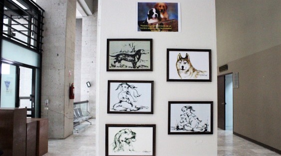 En los pasillos del Palacio Legislativo se instaló la expo venta de obra gráfica Perros mis grandes compañeros, a benficio de albergues caninos.