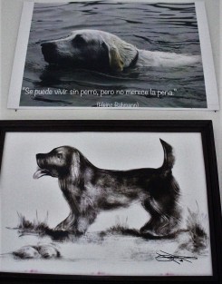 En los pasillos del Palacio Legislativo se instaló la expo venta de obra gráfica Perros mis grandes compañeros, a benficio de albergues caninos.