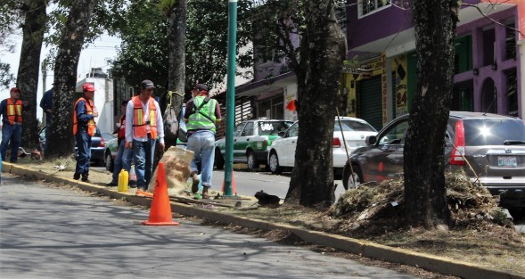 Limpieza de camellones en la ciudad de Xalapa.