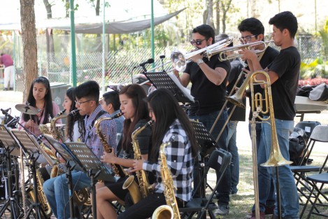 La banda Son de Acá, de Acatlán, Ver., surgió de un proyecto con el propósito de alejar a los niños y jóvenes de pasatiempos negativos. Ahora los integrantes de esta banda son ejemplos de éxito para sus paisanos por los buenos resultados alcanzados en su formación.  