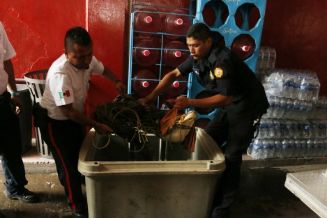 Un cocodrilo fue capturado por los bomberos municipales, cuando deambulaba sobre la carretera Veracruz- Xalapa a la altura del relleno sanitario.