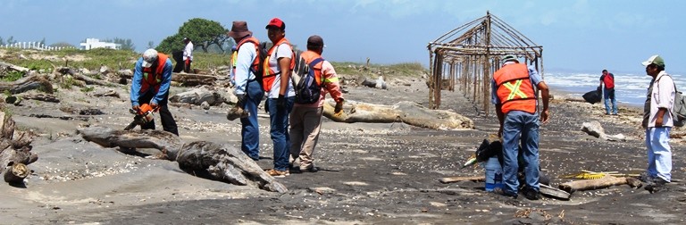 De cara a la temporada vacacional de Semana Santa, empleados municipales y habitantes de la comunidad de Rancho Playa llevaron a cabo acciones de limpieza en la zona costera del municipio de Papantla. 