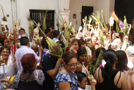 El obispo de la Diócesis de Veracruz, Luis Felipe Gallardo Martín del Campo, bendijo las palmitas como parte de la celebración eucarística del llamado Domingo de Ramos.