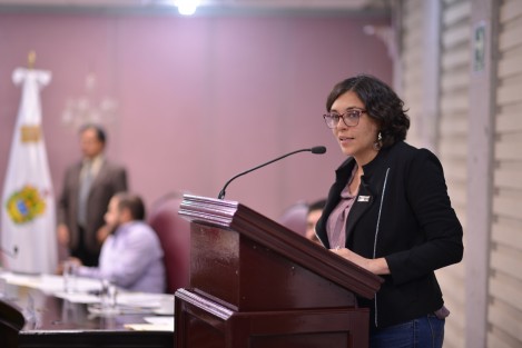 La diputada Guadalupe Osorno Maldonado, integrante del Grupo Legislativo de MORENA, presentó su anteproyecto de punto de acuerdo por el que se exhorta a la Secretaría de Finanzas y Planeación; SEFIPLAN, a resolver el pago, transparentar el orden y fechas para erogarlo a empresarias y empresarios veracruzanos del Programa Nacional de Prevención del Delito (PRONAPRED) y otros afectados.