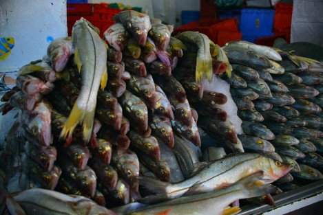 Con productos que van desde 50 hasta los 300 pesos, comerciantes de las pescaderías de La Rotonda  sacan sus puestos para cubrir la demanda de productos del mar que en  estos días se consumen un poco más. 