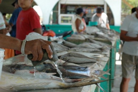 Van por repunte de ventas en pescaderías durante los días santos.
